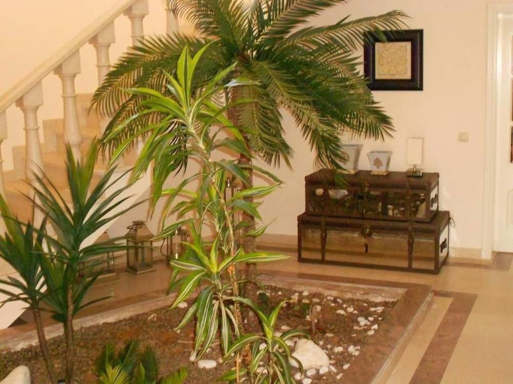 Suites & Beds Dp Albufeira Bagian luar foto