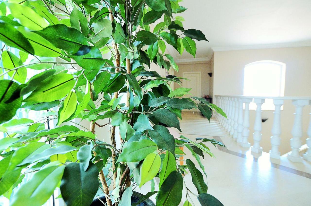 Suites & Beds Dp Albufeira Bagian luar foto